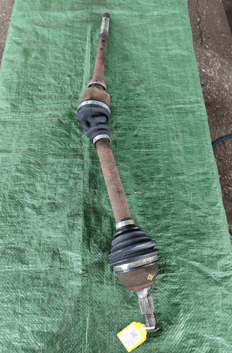 Semialbero ant compl dx - ant., compl.